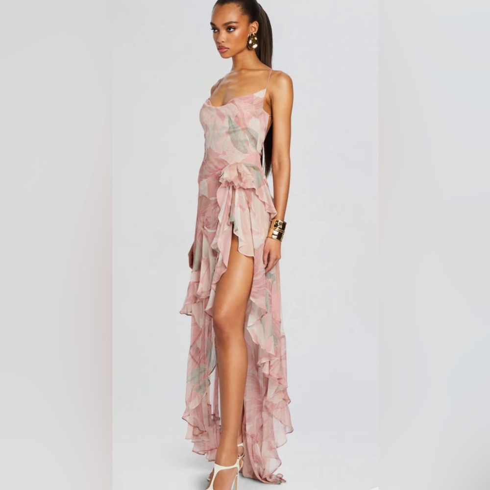 RETROFETE Samara Silk Chiffon Dress Dusty Pink Botanical ⭐️LUXURY PREMIUM⭐️ NWT - Picture 4 of 13